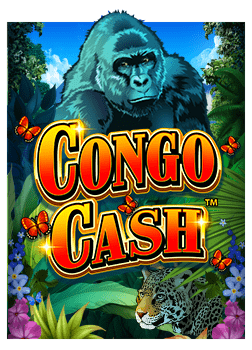 วิธีเล่นเกมสล็อต ฝาก 300 ฟรี 100 ไม่ ต้อง ทำ เท ริน ง่ายๆ ที่บ้าน